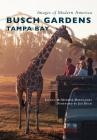 Busch Gardens Tampa Bay (Images of Modern America) By Joshua McMorrow-Hernandez, Foreword By Jim Dean (Foreword by) Cover Image