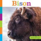 Bison (Seedlings) By Quinn M. Arnold Cover Image