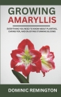 Growing Amaryllis: Everything You Need to Know About Planting, Caring for, and Enjoying Stunning Blooms Cover Image
