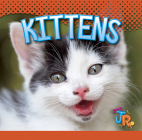 Kittens (Baby Animals) By Jen Besel Cover Image