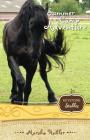 Summer Camp Adventure: 4 (Keystone Stables) By Marsha Hubler Cover Image