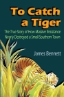 To Catch a Tiger By James Bennett Cover Image