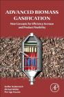 Advanced Biomass Gasification: New Concepts for Efficiency Increase and Product Flexibility Cover Image