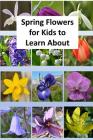 Spring Flowers for Kids to Learn About By Rich Linville Cover Image