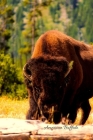 American Buffalo: Yosemite By Tara Pearl Cover Image
