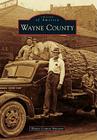 Wayne County (Images of America) By Wayne County Museum Cover Image