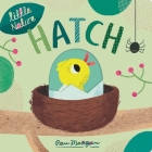 Little Nature: Hatch By Isabel Otter, Pau Morgan (Illustrator) Cover Image
