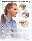 Temporomandibular Joint (TMJ) Anatomical Chart By Anatomical Chart Company (Prepared for publication by) Cover Image
