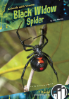 Black Widow Spider By Julie Murray Cover Image