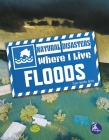 Floods By Tracy Vonder Brink Cover Image