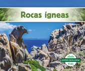 Rocas Ígneas (Igneous Rocks) Cover Image