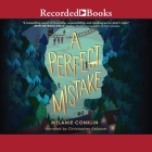 A Perfect Mistake Cover Image