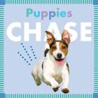 Puppies Chase (Amicus Ink Board Books) By Rebecca Glaser Cover Image