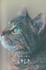 Kalender 2020: Katzen Katze Terminplaner Planer Wochenplaner I Geschenk für Babykatzen Fans Katzenliebhaber Katzenbesitzer Frauen zum Cover Image