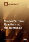 Mineral Surface Reactions at the Nanoscale By Christine V. Putnis (Guest Editor) Cover Image
