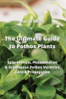The Ultimate Guide to Pothos Plants: Epipremnum, Philodendron & Scindapsus Pothos Varieties, Care & Propagation Cover Image