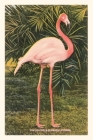 Vintage Journal Flamingo By Found Image Press (Producer) Cover Image