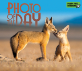 2023 Photo of the Day Box Calendar By Carousel Calendars (Editor) Cover Image