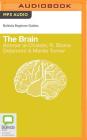 The Brain (Bolinda Beginner Guides) Cover Image