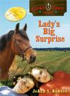 Ladys Big Surprise Cover Image