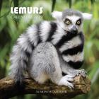 Lemurs Calendar 2019: 16 Month Calendar Cover Image