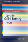 Topics in Gallai-Ramsey Theory (Springerbriefs in Mathematics) By Colton Magnant, Pouria Salehi Nowbandegani Cover Image