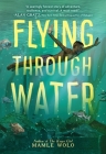 Flying Through Water By Mamle Wolo Cover Image