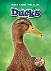 Ducks (Backyard Wildlife) By Derek Zobel Cover Image