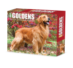Goldens 2023 Box Calendar By Willow Creek Press Cover Image