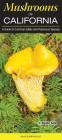 Mushrooms of California: A Guide to Common Edible and Poisonous Species By J. Duane Sept Cover Image