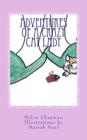 Adventures of a Crazy Cat Lady By Mariah Noel (Illustrator), Helen Chapman Cover Image