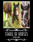 Precious Pictorials Stable Of Horses Picture Book: Horse Photo Book For Adults No Words Books 50 Color Images 8