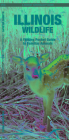 Illinois Wildlife: A Folding Pocket Guide to Familiar Animals By James Kavanagh, Waterford Press, Leung Raymond (Illustrator) Cover Image