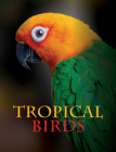 Tropical Birds By Tom Jackson Cover Image