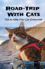 Road-Trip With Cats: Tips to Keep Your Cat Stress-free: Is It A Good Idea To Travel With Your Cat? Cover Image