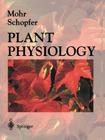 Plant Physiology By Hans Mohr (Editor), G. Lawlor (Translator), D. W. Lawlor (Translator) Cover Image