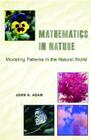 Mathematics in Nature: Modeling Patterns in the Natural World By John Adam Cover Image
