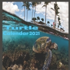 Turtle calendar 2021 Cover Image