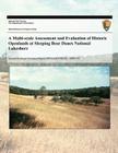 A Multi-scale Assessment and Evaluation of Historic Openlands at Sleeping Bear Dunes National Lakeshore Cover Image