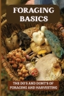 Foraging Basics: The Do's And Dont's Of Foraging And Harvesting: Wild Edible Plants By Tiffany Rossmann Cover Image