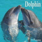 Dolphin: 2021 Calendar Cover Image