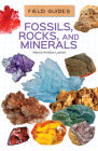 Fossils, Rocks, and Minerals (Field Guides) By Marcia Amidon Lusted Cover Image