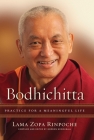Bodhichitta: Practice for a Meaningful Life Cover Image