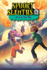 Spooky Sleuths #4: Fire in the Sky By Natasha Deen, Lissy Marlin (Illustrator) Cover Image