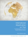 International Adjudication on Trial: The Effectiveness of the Wto Dispute Settlement System (International Economic Law) By Sivan Shlomo Agon Cover Image