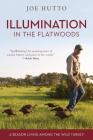 Illumination in the Flatwoods: A Season Living Among the Wild Turkey By Joe Hutto Cover Image