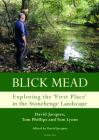 Blick Mead: Exploring the 'First Place' in the Stonehenge Landscape: Archaeological Excavations at Blick Mead, Amesbury, Wiltshire 2005-2016 (Studies in the British Mesolithic and Neolithic #1) Cover Image