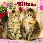 Kittens, I Love 2023 Square Foil By Browntrout (Created by) Cover Image