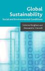 Global Sustainability: Social and Environmental Conditions By S. Borghesi, A. Vercelli Cover Image