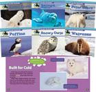 Arctic Animals (Set) By Julie Murray Cover Image